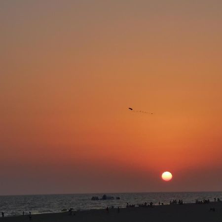 Entre Pinos Y Playa Daire Matalascañas Dış mekan fotoğraf