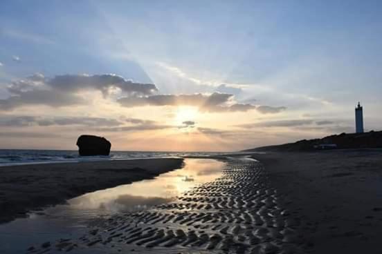 Entre Pinos Y Playa Daire Matalascañas Dış mekan fotoğraf