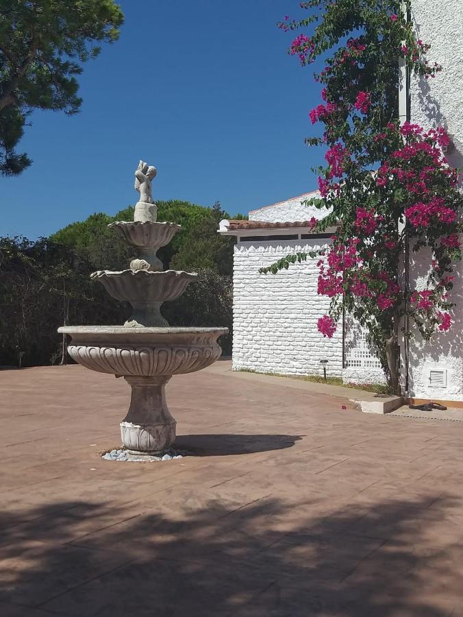 Entre Pinos Y Playa Daire Matalascañas Dış mekan fotoğraf